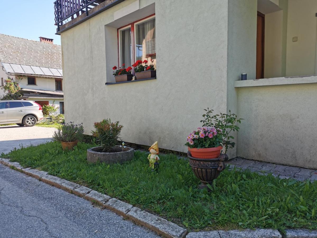 Apartma Rekar - A House, Where You Can Relax In The Embrace Of Nature ゴレンスカ地方 エクステリア 写真