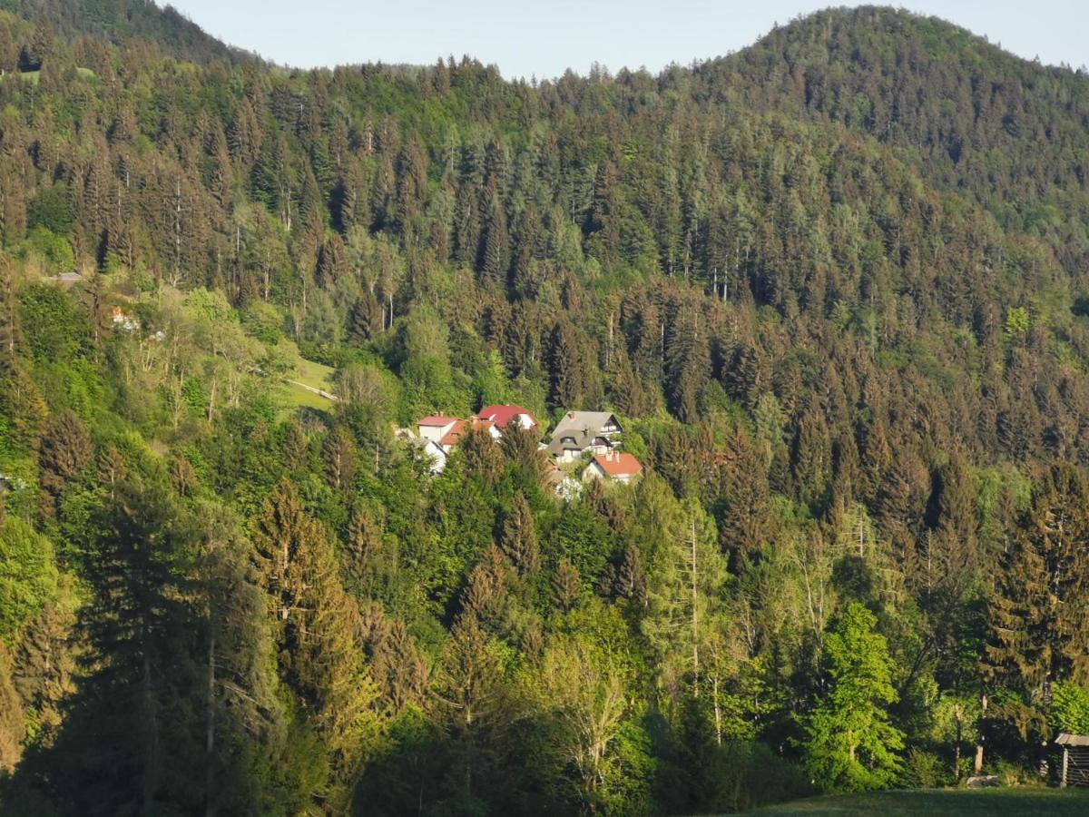 Apartma Rekar - A House, Where You Can Relax In The Embrace Of Nature ゴレンスカ地方 エクステリア 写真