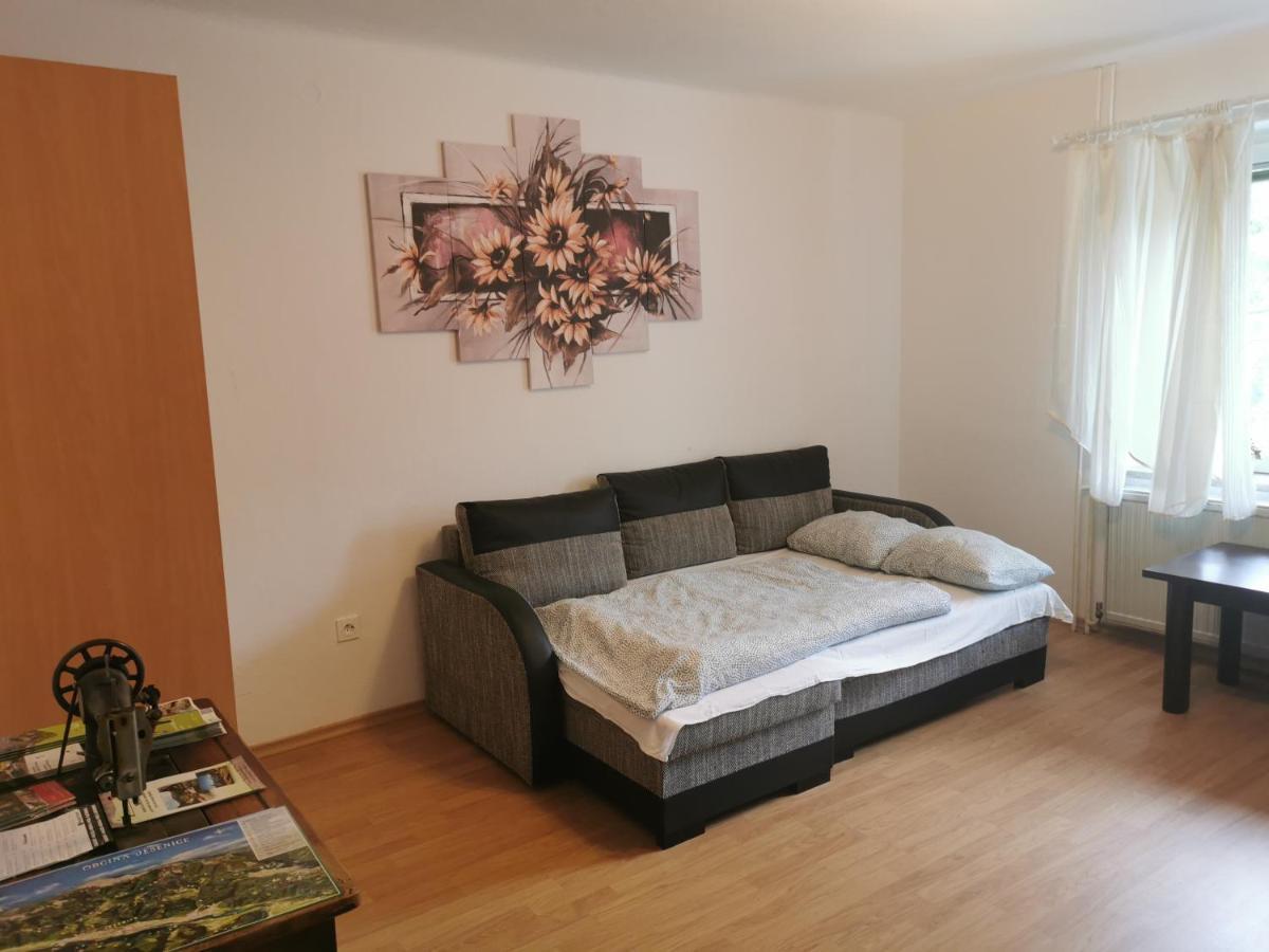 Apartma Rekar - A House, Where You Can Relax In The Embrace Of Nature ゴレンスカ地方 エクステリア 写真